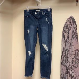 Sky and sparrow jeans